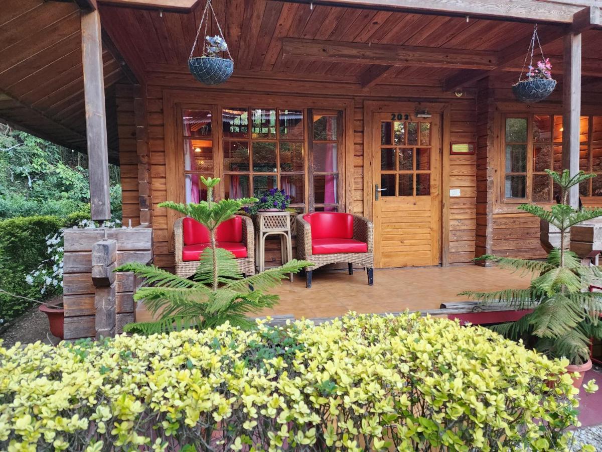 The Chalets Naldehra Shimla Dış mekan fotoğraf