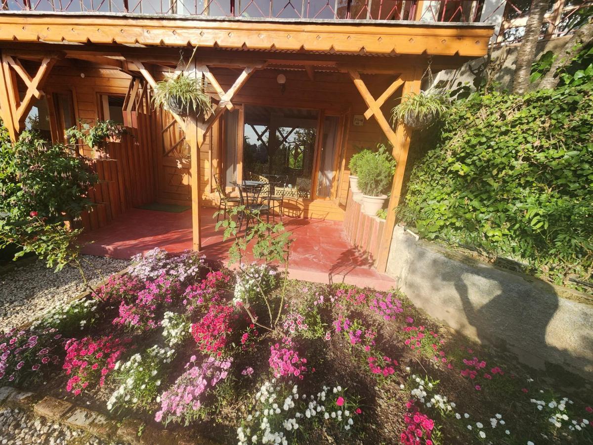 The Chalets Naldehra Shimla Dış mekan fotoğraf