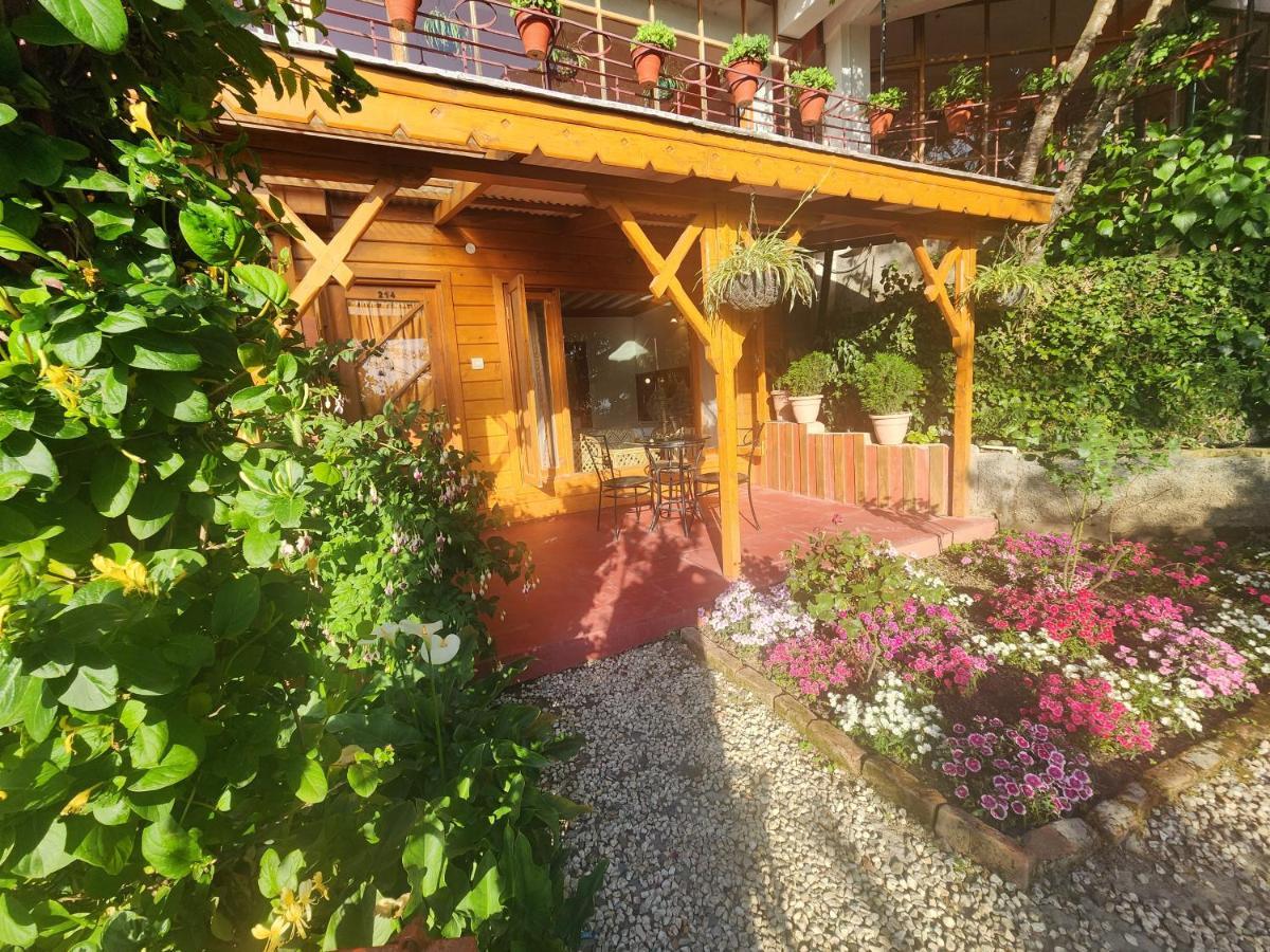 The Chalets Naldehra Shimla Dış mekan fotoğraf