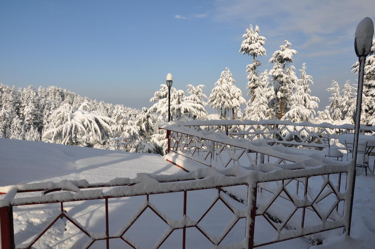 The Chalets Naldehra Shimla Dış mekan fotoğraf