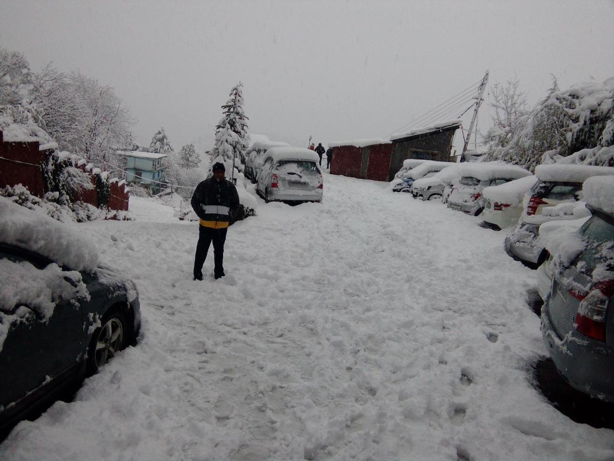 The Chalets Naldehra Shimla Dış mekan fotoğraf